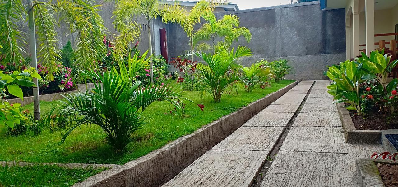 Green Rinjani Guest Houst Ξενοδοχείο Senaru Εξωτερικό φωτογραφία